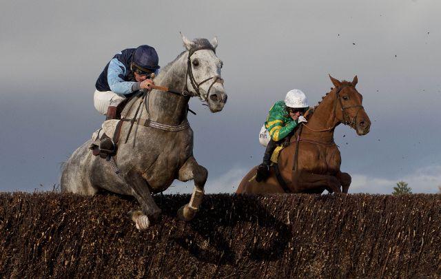 Alan is hoping for a jumps' winner on Monday at Carlisle 